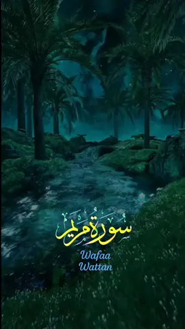 {يَا أُخْتَ هَارُونَ مَا كَانَ أَبُوكِ امْرَأَ سَوْءٍ}#سورة_مريم #عبد_الباسط_عبد_الصمد #الله #قران_كريم #القران_الكريم 