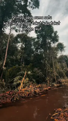 Prinsip ny cuma satu kalo ikut jangan takut kalo takut jangan ikut , #opratormuda_punyacerita #excavator #anakrantau #fyppppppppppppppppppppppp #fypage #fypシ゚viral🖤tiktok #tiwikarma