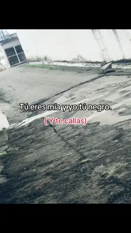 #etiquette #paratiiiiii #virallllllllllllll #negrito #fypviralシ @𝓨𝓾𝓵𝓲𝓲_🐢 