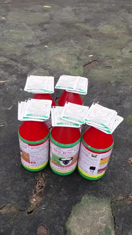 Sản phẩm TRÂU RỪNG MỚI CHAI 900ML COMBO 5 CHAI TẶNG 15 GÓI ANLYGOLD #tronglua #lua #CAYTRONG #CAYANTRAI #DUA 