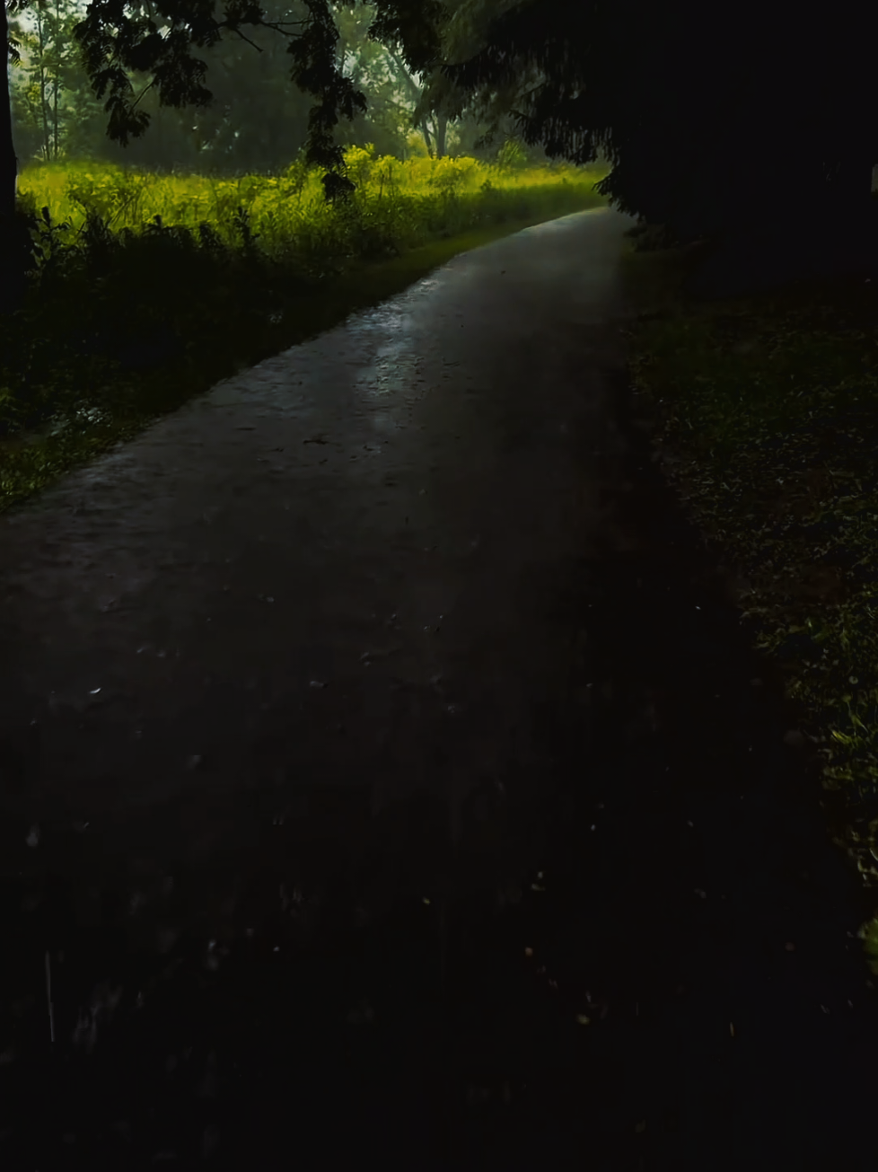 Ws.p♾️💫 🎁ให้ของขวัญตัวเองบ้าง ออกไปใช้ชีวิตบ้าง พักผ่อนบ้าง ซื้อของกินเมนูโปรด ยิ้มกับคนที่รัก กอดสัตว์เลี้ยงคู่ใจ  #fyp #11octoberwsp #เที่ยว #ธรรมชาติ #พักผ่อน 