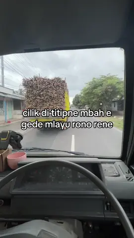 wong lanang kudu bakoh🫡#fyp #l300 #fypシ 