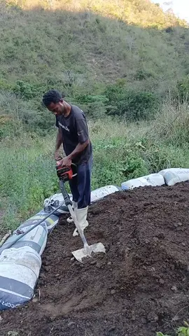 agora funcionou #viraltiktok #comedia #viral #tiktok 