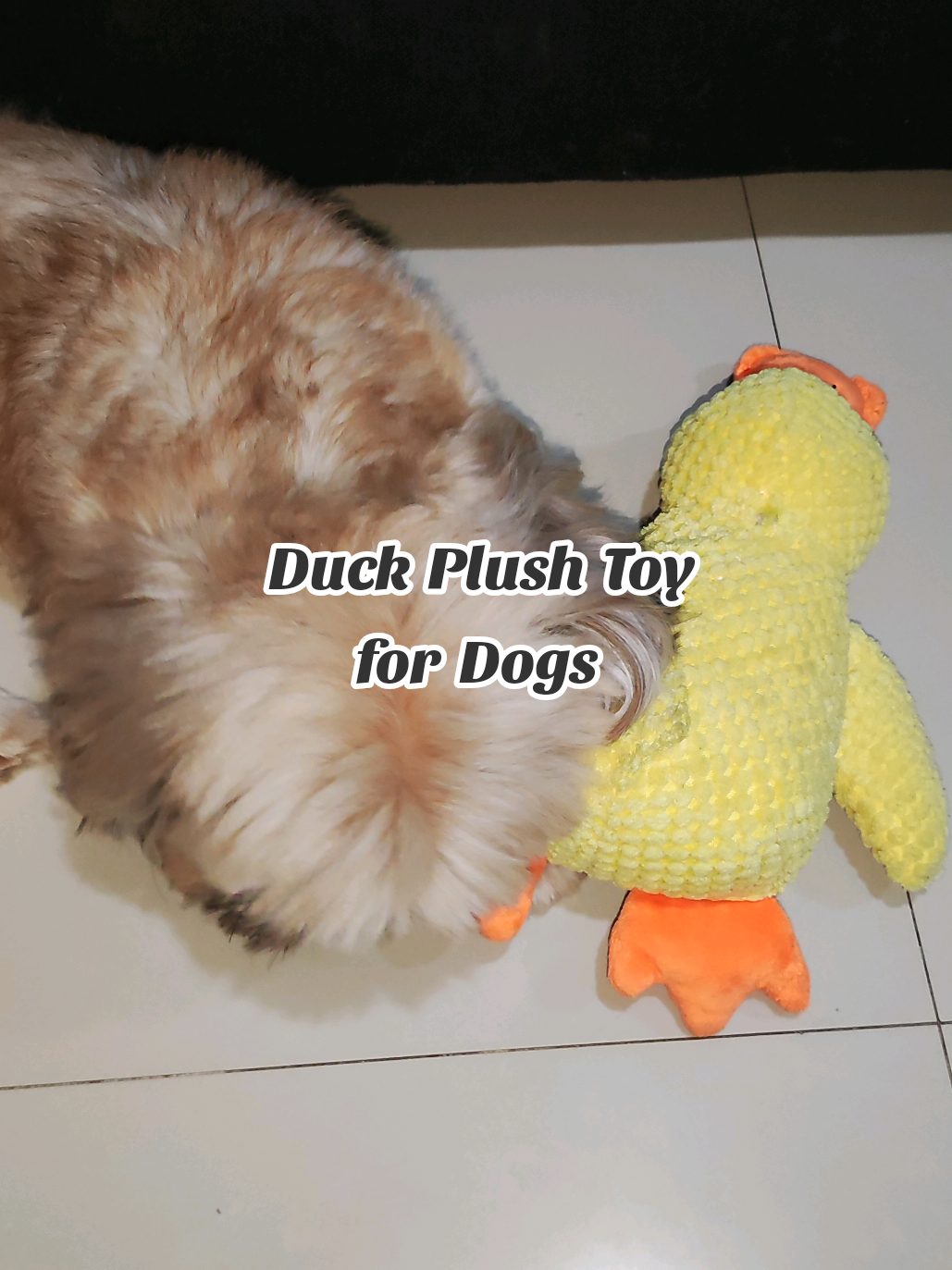 Bring home the Dog Calming Duck Plush Toy – where playtime, comfort, and care come together in one toy! 🐶💛 #dogtoy  #ducktoy  #toyfordog  #dogplushtoy  #ANNEbelievableMum 