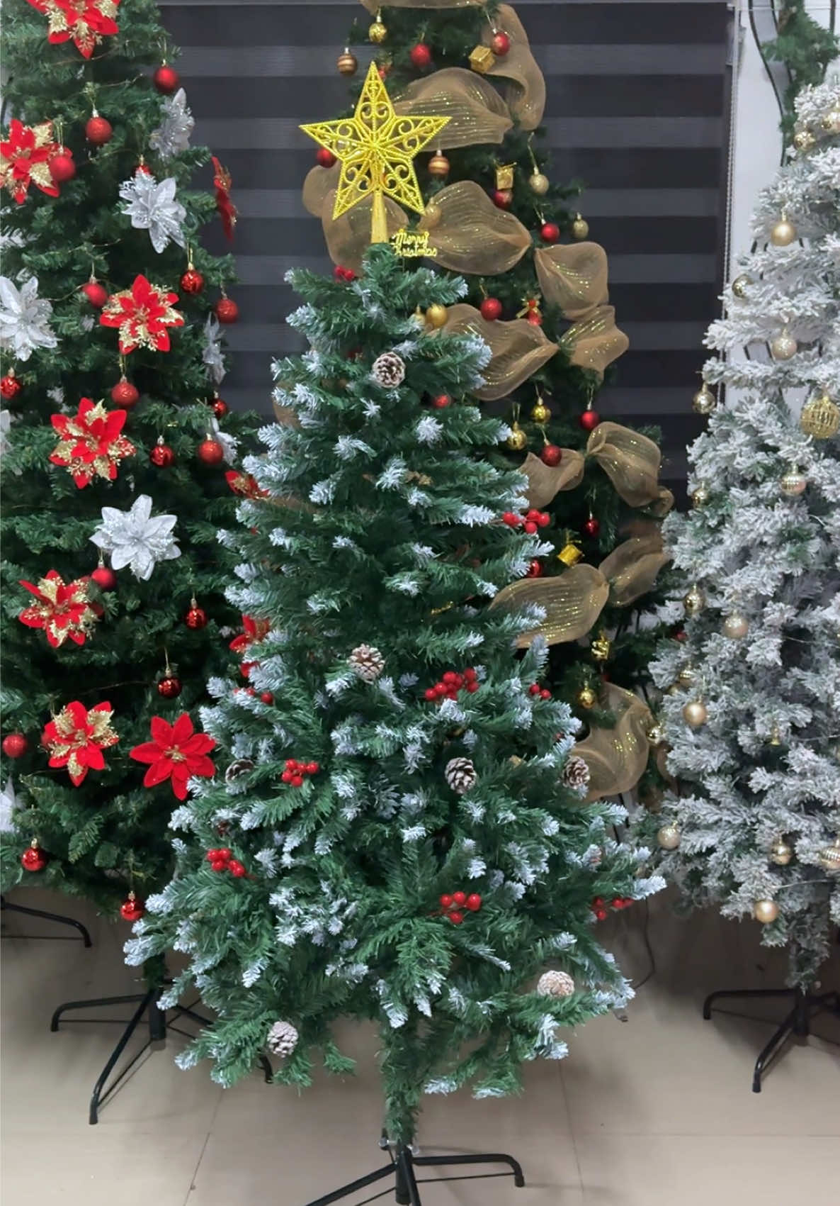 Red Pine Tree Christmas Tree🎄😍 Konting decorations nalang ang kailangan ❤️ #pinetree #christmastree #christmastreedecorating #christmascountdown 