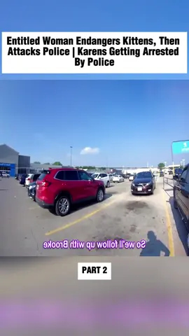 Entitled Woman Endangers Kittens, Then Attacks Police | Karens Getting Arrested By Police #police #cops #trafficstop #entitled #karen #arrest #viral #fypシ゚ #dangerousforkittens