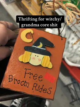 We love a good thrift day #thrifttok #thrifting #thrift #thriftstorefinds #witchtok 