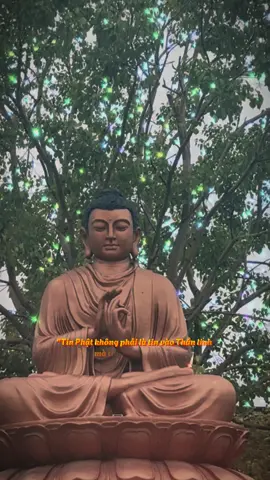 Nam Mô Bổn Sư Thích Ca Mâu Ni Phật 🙏🙏🙏 #phatphapnhiemmau #phạtgiao #phạttaitam #CapCut 