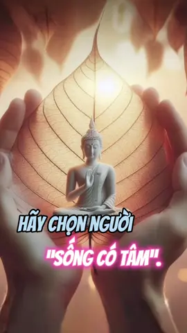 Nam Mô A Di Đà Phật 🙏🪷🙏🪷  #xuhuong #xuhuong2025 #phatphapnhiemmau #phatphap 