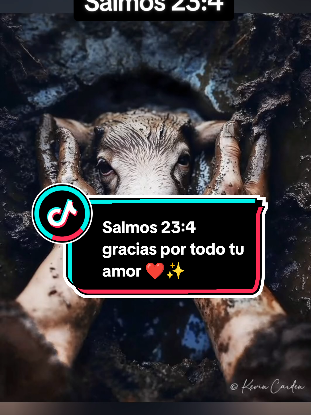 salmos 23:4 gracias mi Dios por todo tu amor ❤️✨