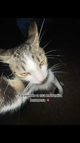 YO VIENDO A ESA MORENITA HERMOSA🫦 #fyp #morenita #Viral #xyzbca #paratiiiiiiiiiiiiiiiiiiiiiiiiiiiiiii 