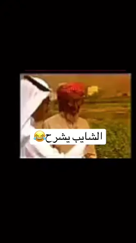#creatorsearchinsights #الشايب #شرح #مضحك 