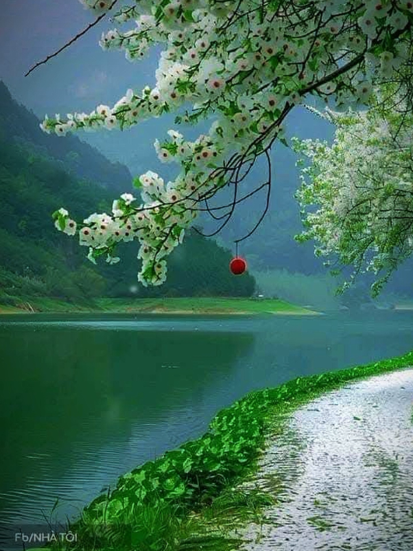 Mở nút thắt trong lòng #hoccachyeuthuong #caunoitruyencamhung #đônglưccuocsông #câunoihaymoingay #hoccachsôngchominh #phatdaydieuhay 