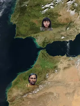 🇲🇦🇩🇿🇹🇳 #morocco #🇲🇦🇩🇿🇹🇳 #northafrican #edit #fyp 