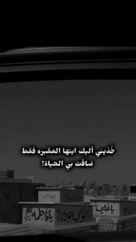 #fyppppppppppppppppppppppp #creatorsearchesinsight2025 #لايك__explore___ #اكسبلور #viral 