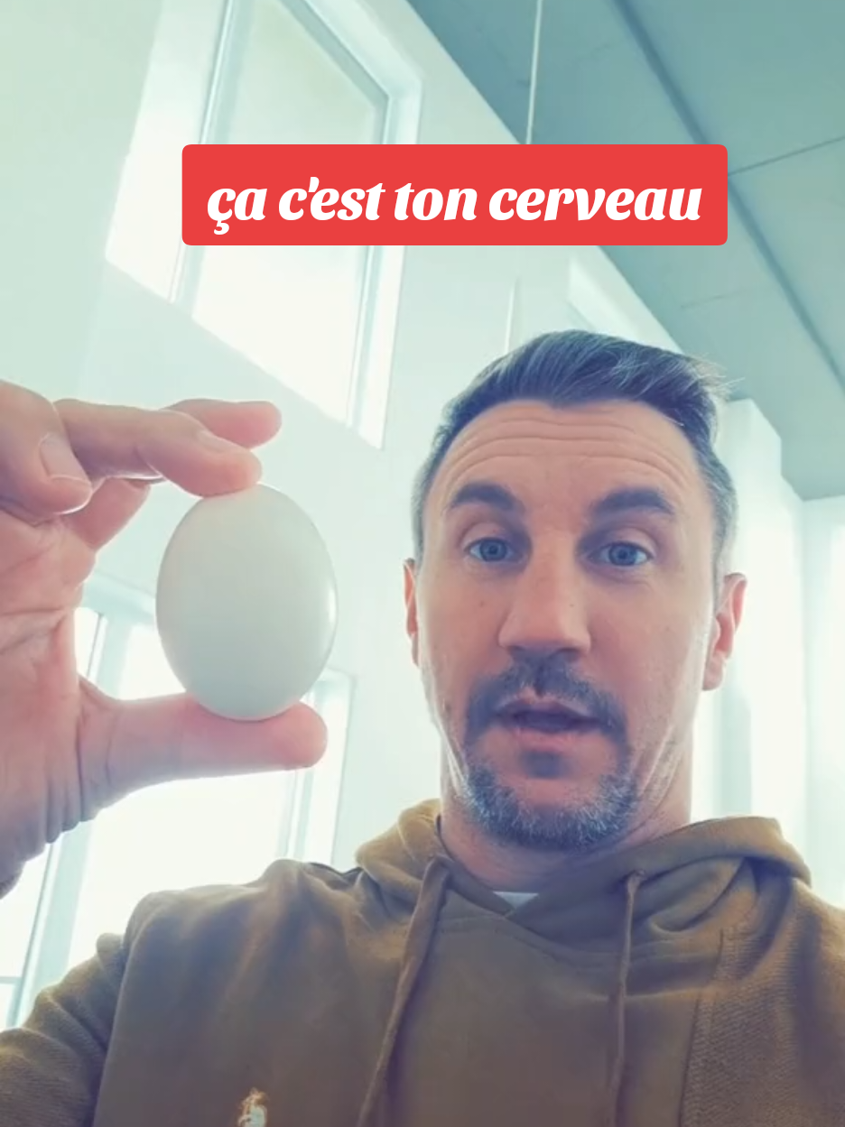 #cejour-là ça c'est ton cerveau lorsque tu regardes TVA poubelles. #tvapoubelles #merdias #humour #drole 