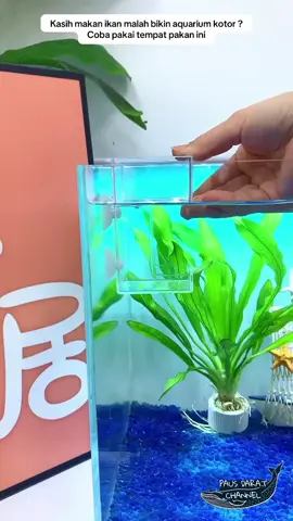 Tempat pakan ikan #water #ikan #ikanhias #fish #aquascape      Link pembelian ada di profil etalase no 160