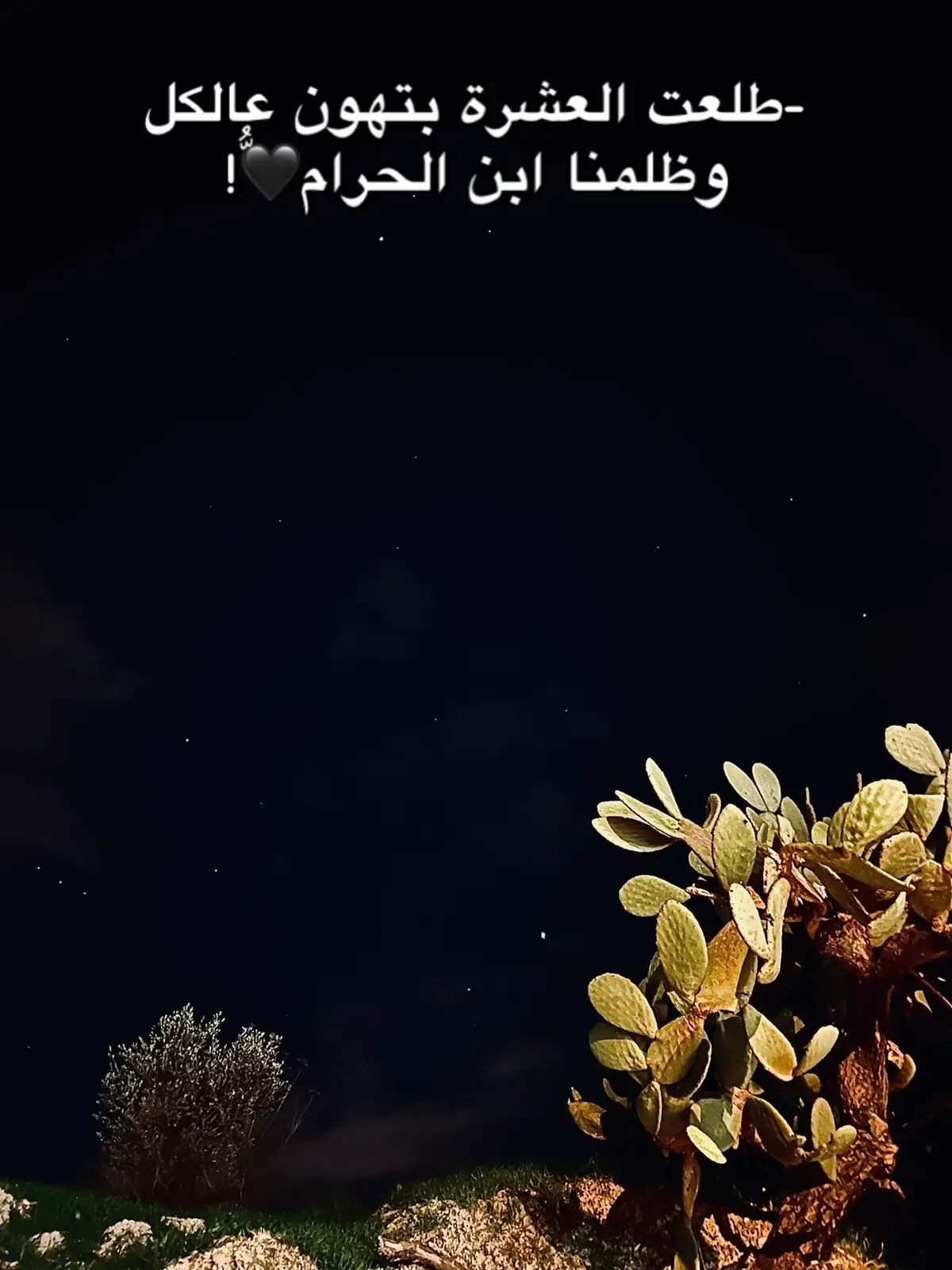 #تصويري📷 #مليون_مشاهدة❤ #بطلع_اكسبلورexplore❥🕊 #foryou #fyp 