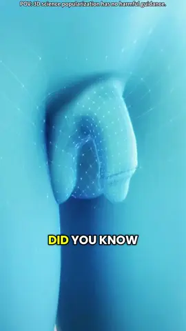 Shockwave Therapy for Peyronie’s Disease (3D Animation) #peyroniesdisease #peyronie #peyronies #peyroniestreatment #shockwavetherapy #medical3danimation #3dmedicalanimation