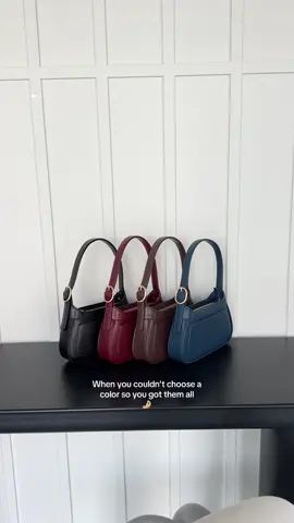 So perfect #bagcollection #handbagtiktok #pursetok #fallfashion 