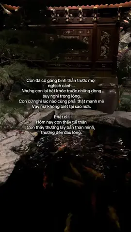 Nguyện cho bạn đủ mạnh mẽ... Xin thường niệm Nam Mô A Di Đà Phật 🙏🙏🙏 #phatphapnhiemmau #phatphapvobien #chudaibi #niemphat #xh #xuhuong #viral 