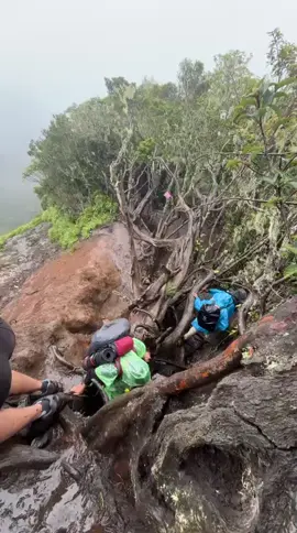 Dempo dgn track landai nya😁 #fyp  #dempo  ##CapCut 