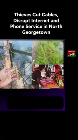 Thieves Cut Cables, Disrupt Internet and Phone Service in North Georgetown