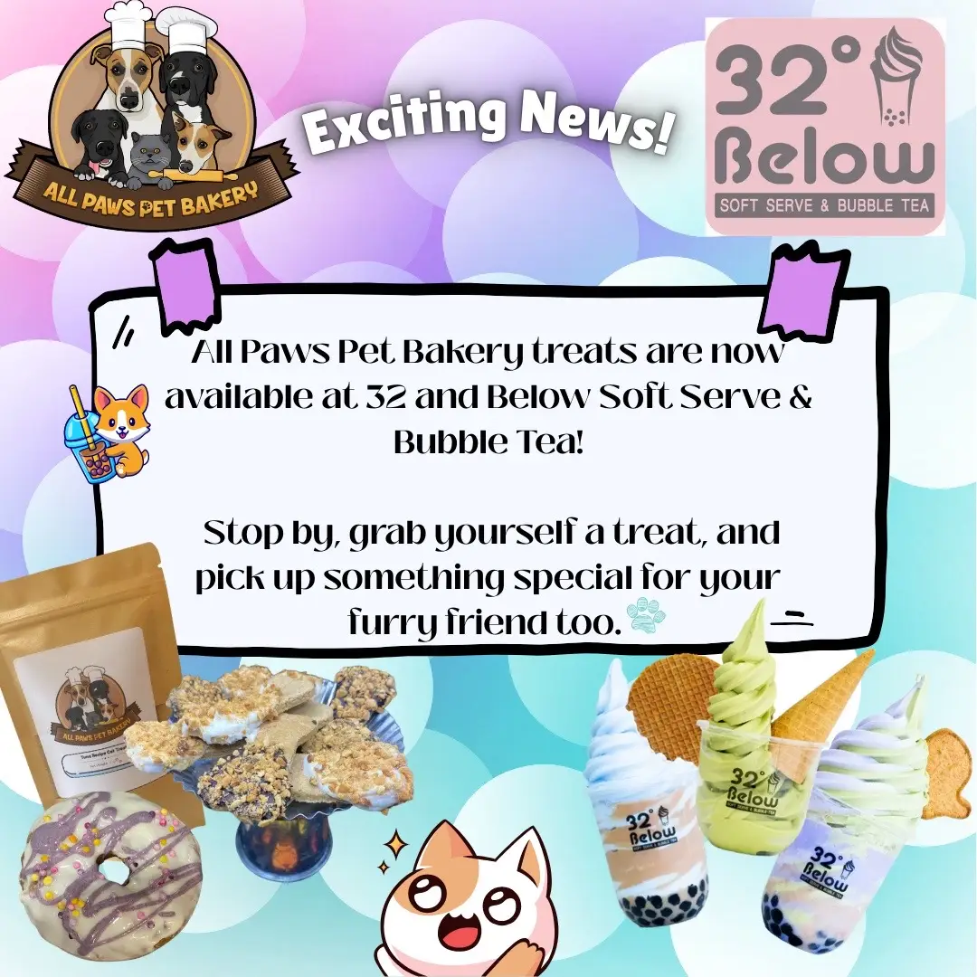 ✨ Exciting news! ✨ Coming this Sunday — you can find All Paws Pet Bakery treats at 32 & Below Soft Serve and Bubble Tea! 🐾🍦 Swing by, grab your favorite frozen treat, or delicious drink, and don’t forget to snag something special for your furry friend too! 🐶🐱💛 32 Below Soft serve & Bubble Tea 17054 116th Ave Se, Renton