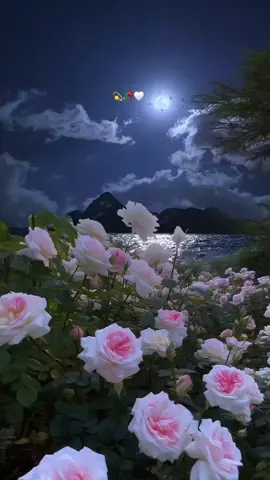 Jo tu mera humdard hai...💫🥀🤍 #fypシ #humdard 