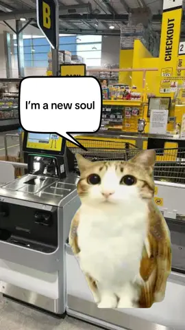 you see him at the checkout, what do you do? #meowl   
