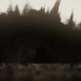 dune||#paulatreides #dune #aftereffects #aestheticedits #moots @ᴀʟᴇx 