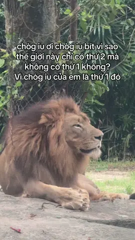 chòg iu em tuyệt vời nhất, number 1 #GreenCreator #VinWonders #dulich #xh #fyp 