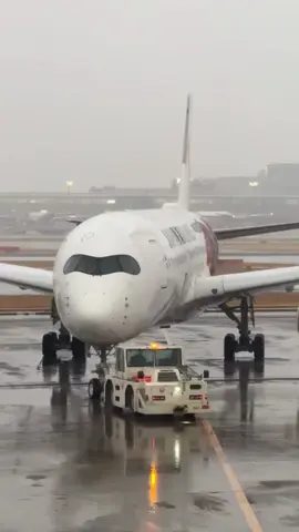 Mudikmu H- piro cah??#japanairlines #groundstaff #groundhandling #hanedaairportjapan✈️🇯🇵 #tokyo 