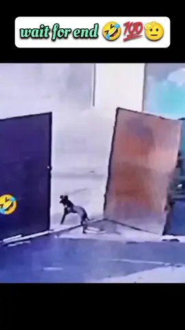 fun video @fun TV #fyp #fun #funny #shorts #viral 