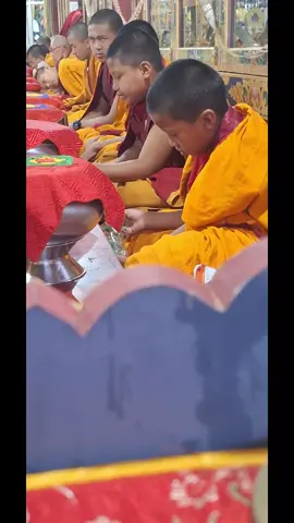 དོག་མ་པ་ནེ་ཙུ་ནེ་གསུམ།། དཔལ་ལྡན་འབྲུག་པའི་སྤྲོ་ཟས་ཡིན།། ཆུང་ལས་གོམས་འདྲི་མ་བྱས་ན།། རྒས་དུས་སྤྲོ་བ་གང་ནས་འོང་།།#gyalpozhing #buddha #viral #1millionaudition 