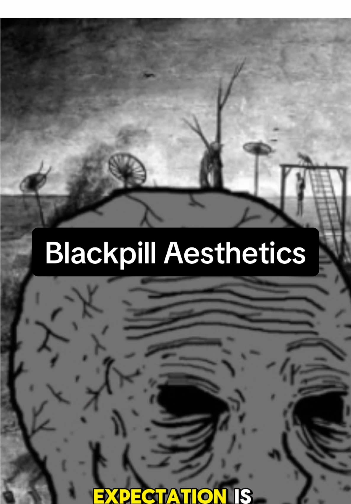 A quick crash course in blackpill accelerationism: the memes are the ideology.