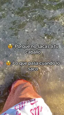 Por eso no lo saco #caballo#perdio #perdidas #paratii 