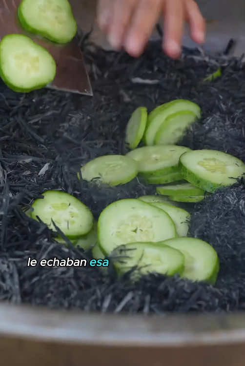 ¿Por qué los chinos ponen ceniza en los pepinos?#DidYouKnow #usa #fyp #amazing 
