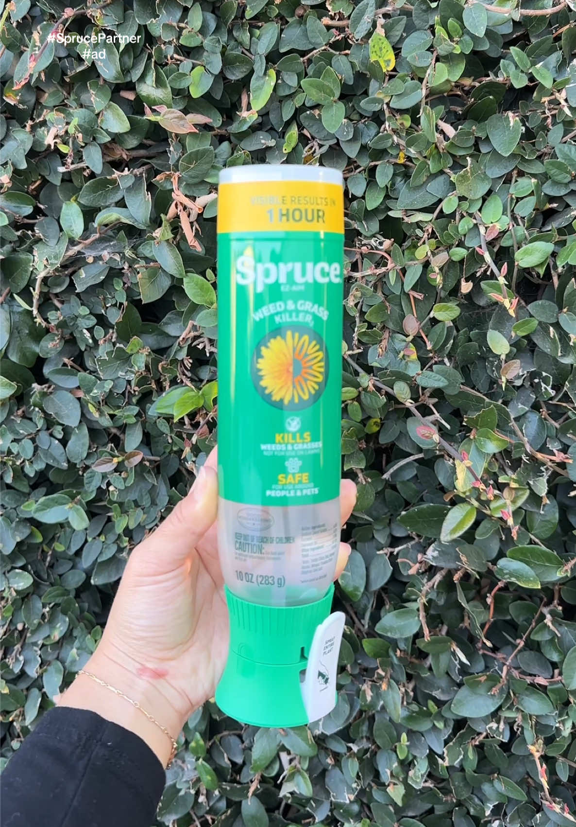 #ad #SprucePartner #Spruce #minivlog #justgirlythings @Spruce 
