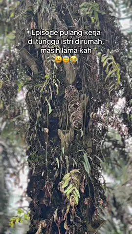 Kapan ya?🤣 @anggaardiansyah7373 #pemuatsawit #pemuatsawitriau #kulisawit #petanisawit #fyp 