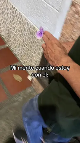 🌺 #amor #inicio #paratiiiiiiiiiiiiiiiiiiiiiiiiiiiiiii #fyp #viral 