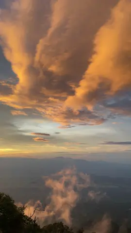 view dipos 5 Gunung Pesawaran Via @Puncak seribu 1667mdpl #fyp #pesawaranlampung🇮🇩 