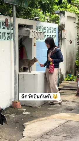 #หลอกเพราะรักนะน้อล #วัคซีนพิษสุนัขบ้า🐶🐱 