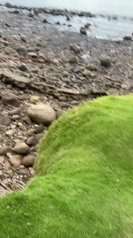 #fyppppppppppppppppppppppp 