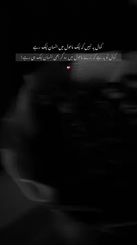 #creatorsearchinsights #fyppppppppppppppppppppppp #foryoupage #foryoupageofficiall @TikTok 