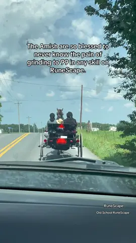 The Amish are so blessed to never know the pain of reaching 99 in any skill on RuneScape. 😂😂 #runescape #fyyp #travel #viralvideo #traveltiktok 