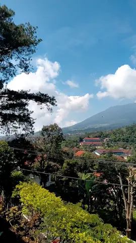 بونشاك اليوم ⛅️ #بونشاك🇮🇩 #السعودية #عمان #الامارات #اندونيسيا 