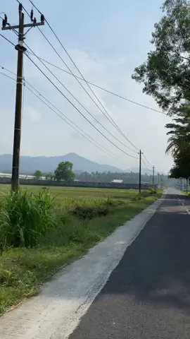 Suasana nang Kulon Progo wayah isuk, sisih kiwo kui rel kereta bandara YIA tujuan ke Stasiun Yogyakarta. #fy #jogja24jam #jalanjalan #vibes #kulonprogo 