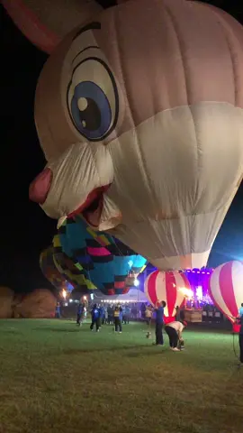 🧸🎀#บอลลูนแฟนซีลอยฟ้า #ฟีดดดシ #อ่างเก็บน้ําลําสําลายปักธงชัย🏞 