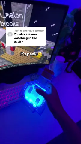 Replying to @bingus69 #gaming #gamer #Minecraft 